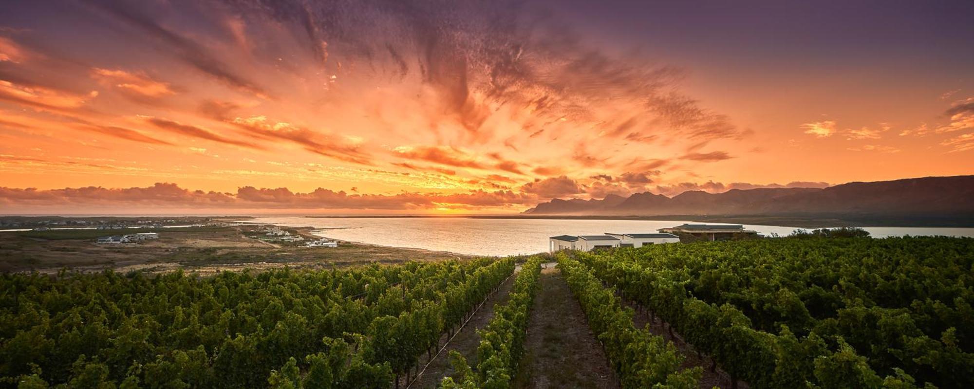 Benguela Cove - Milk And Honey Villa Hermanus Exterior photo